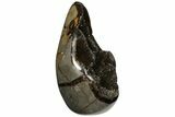 Polished Septarian Geode Sculpture - Black Crystals #124538-2